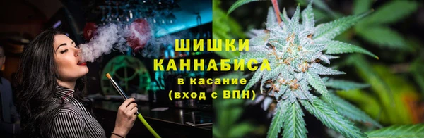 молекула духа Приозерск