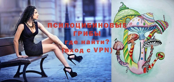 молекула духа Приозерск