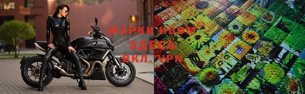 молекула духа Приозерск