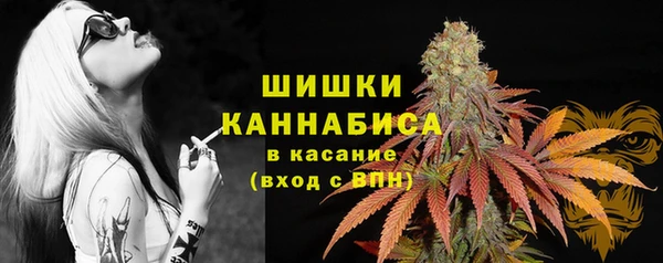 молекула духа Приозерск