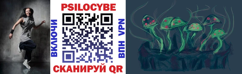 Псилоцибиновые грибы Psilocybe Абинск