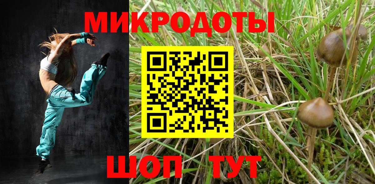продажа наркотиков  Псилоцибиновые грибы прущие грибы  Псилоцибиновые грибы мухоморы  Вход с VPN  Абинск 