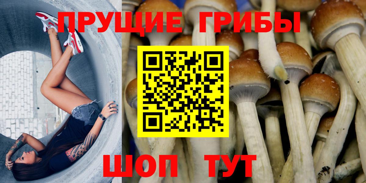 Галлюциногенные грибы мухоморы Абинск