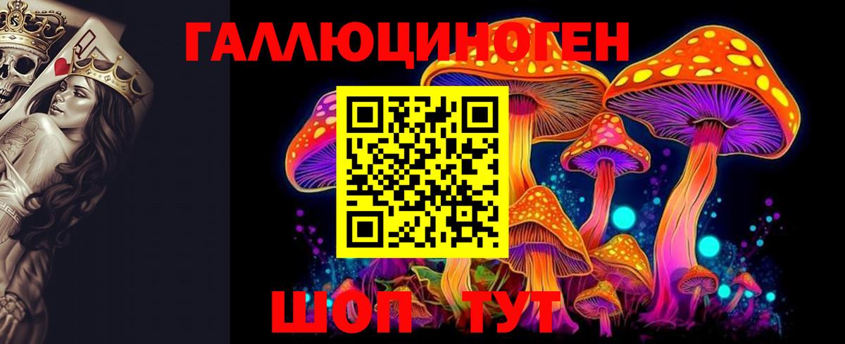 купить  сайты  Вход с VPN  Галлюциногенные грибы MAGIC MUSHROOMS  Абинск  Галлюциногенные грибы Cubensis 